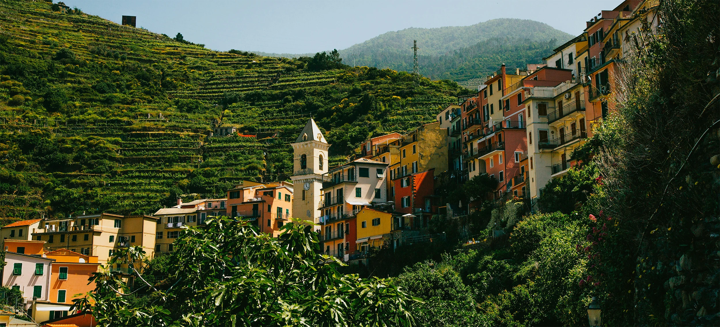 Cinque Terre, Liguria